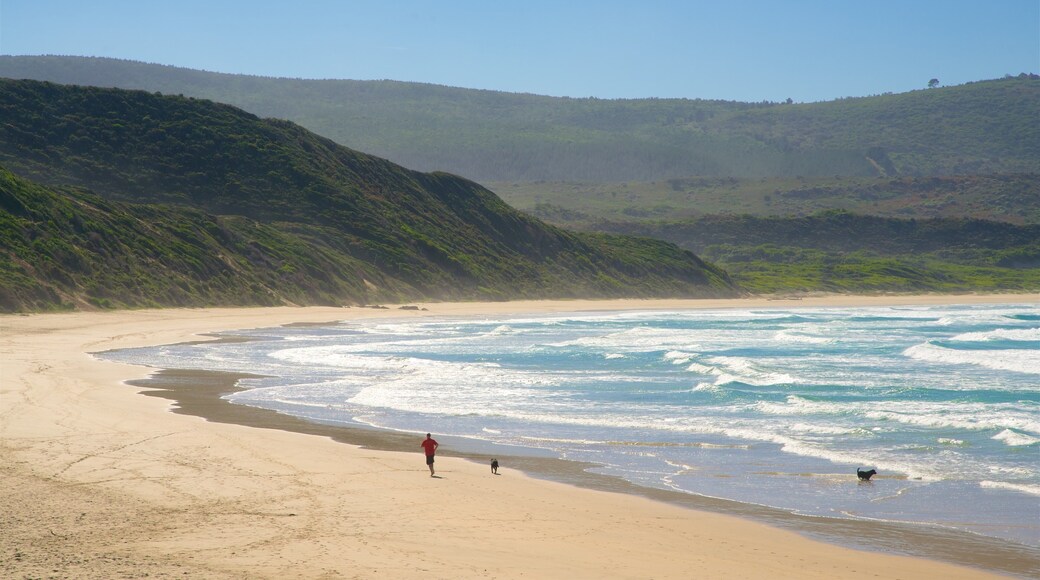 Knysna showing a beach, general coastal views and tranquil scenes