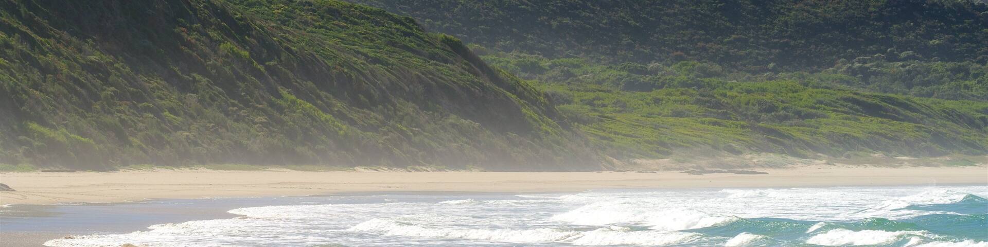 A beach with waves, a sandy shore, and a forested hillside.