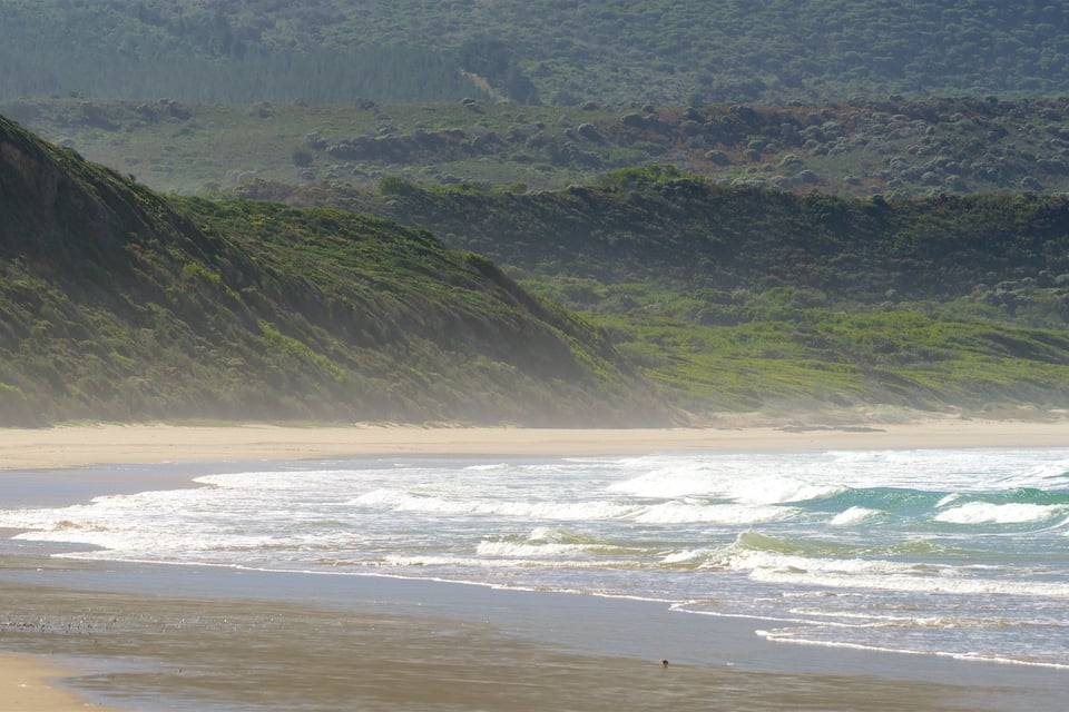 A beach with waves, a sandy shore, and a forested hillside.