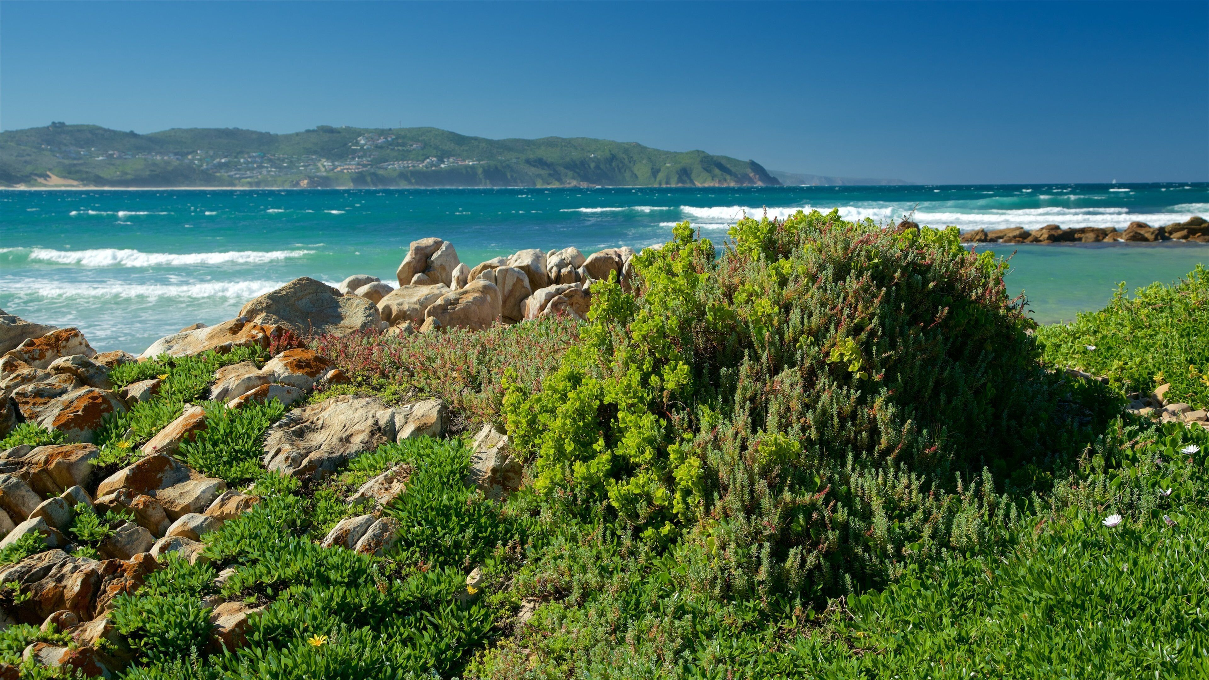 Knysna showing tranquil scenes, rocky coastline and general coastal views