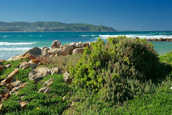 Paisagem costeira com terreno rochoso, vegetação verde e mar azul cristalino.