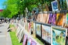 A row of colorful paintings on a wall, a grassy area, and trees in the background.
