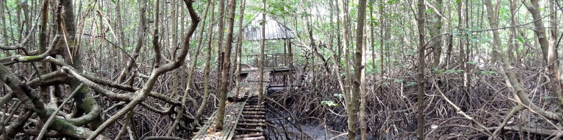 Koh Kong is a rough around the edges, border town between Cambodia and Thailand. Most won't even know the name of the place as they pass through on their way to Bangkok, but it does hold some gems for those looking to get off the beaten path. Besides the rapidly logged Cardamom Forest, you'll also find the incredible Peam Krasaop Mangrove Sanctuary here located about 10 to 15 minutes outside of town by moto.
Tip: Vendors in the park serve food and drinks - spreading the money around a bit is always much appreciated.