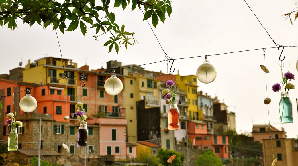 0_5b42e7e8-ac1f-4a17-965a-b5bc84201588_raw