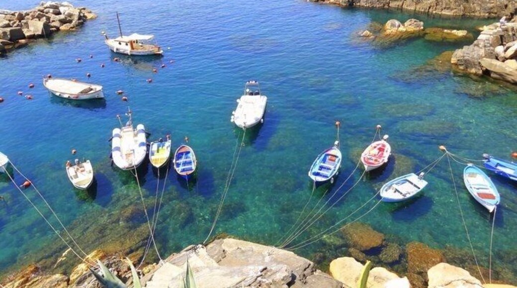 Boats in the bay in Cinque Terre
