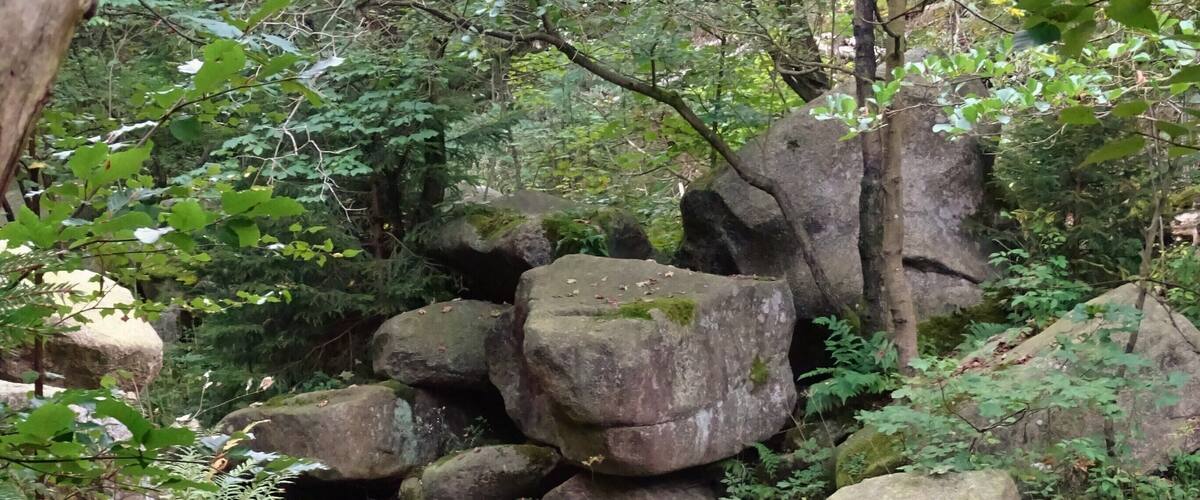 LSG GS 00059 Harz (LK Goslar) - Oker zwischen Adlerklippen und Frosch (3)