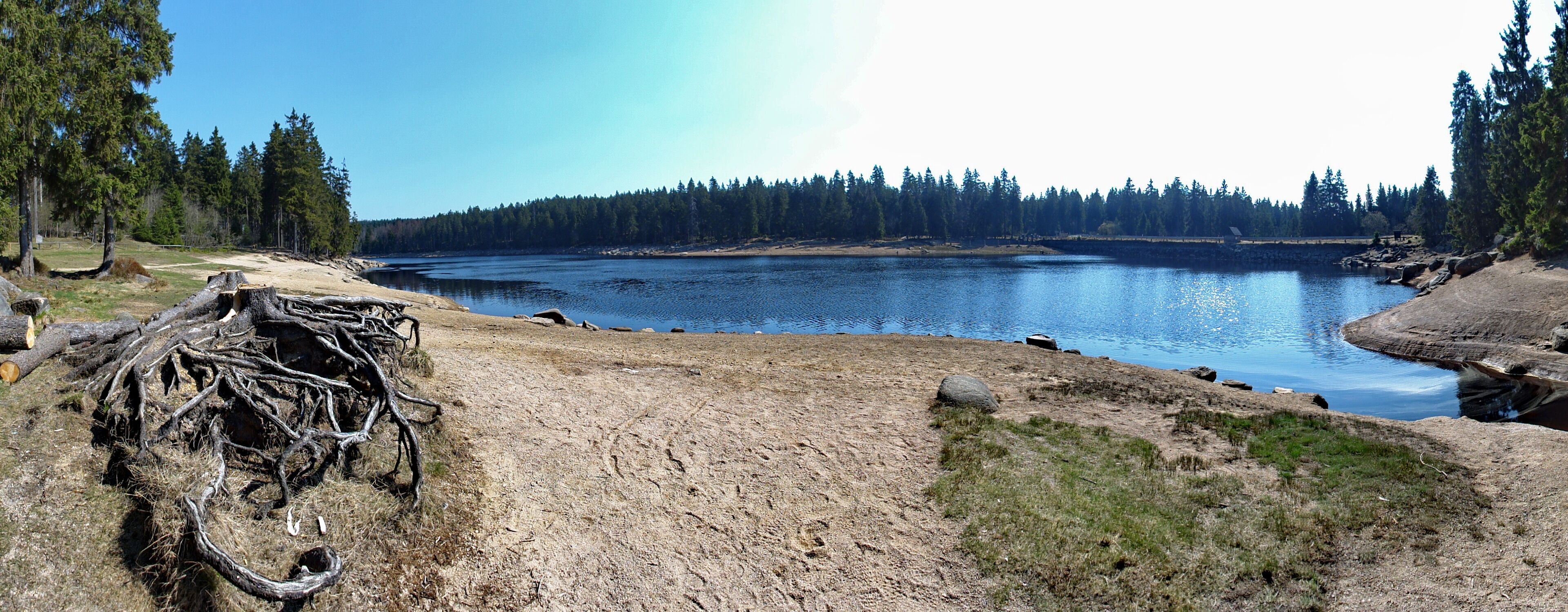 Naturschutzgebiet Oberharz