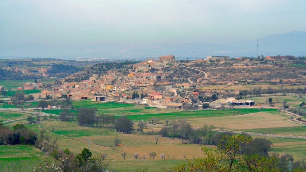 A rural landscape with a village, green fields, and a distant mountain range.