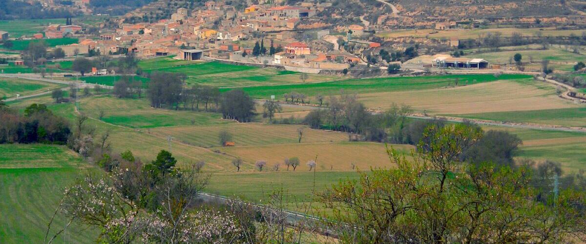 Les Olugues des de Montfalcó