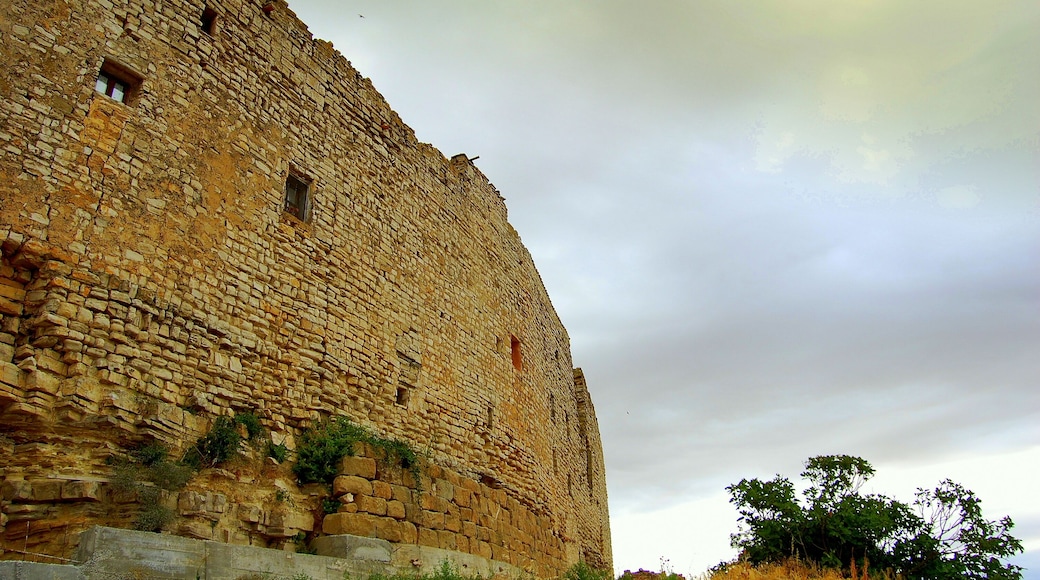 Recinte de Montfalcó Murallat (les Oluges)