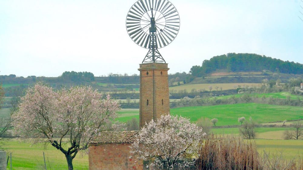 Eine Windmühle auf einem Backsteinturm in ländlicher Umgebung, im Hintergrund blühende Bäume und sanfte Hügel.