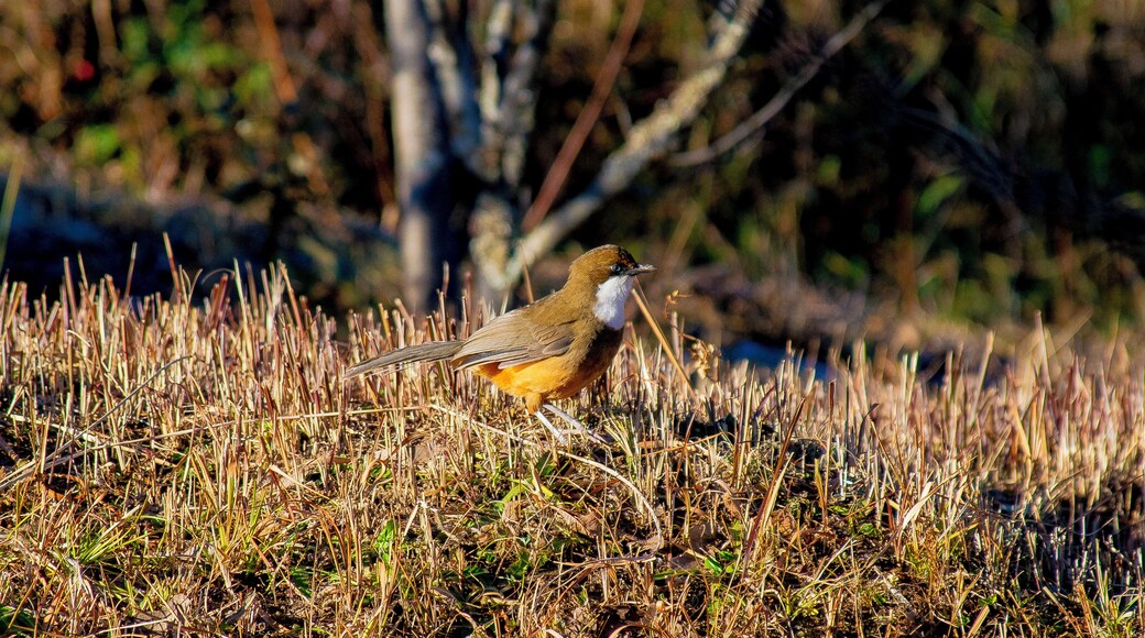 Bird Watching!!!!
#birdsofprey
#allmightybirds
#allmightybirds
#ig_collection_birds
#birdswatching
#lifeatexpedia
#animalsphotography