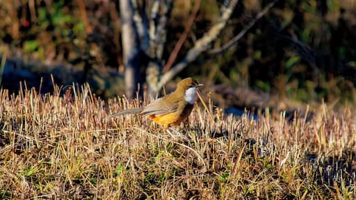 Bird Watching!!!!
#birdsofprey
#allmightybirds
#allmightybirds
#ig_collection_birds
#birdswatching
#lifeatexpedia
#animalsphotography