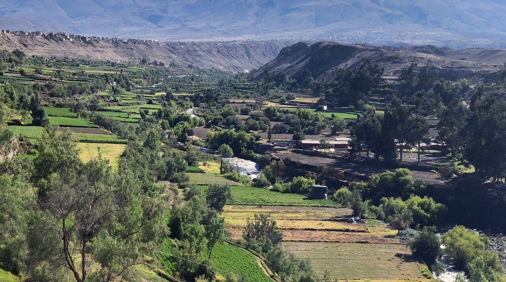 Lookout point. Chachani volcano
