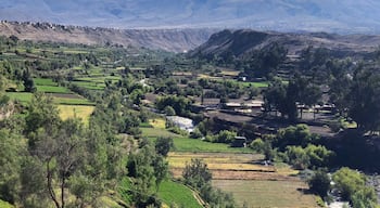 Lookout point. Chachani volcano