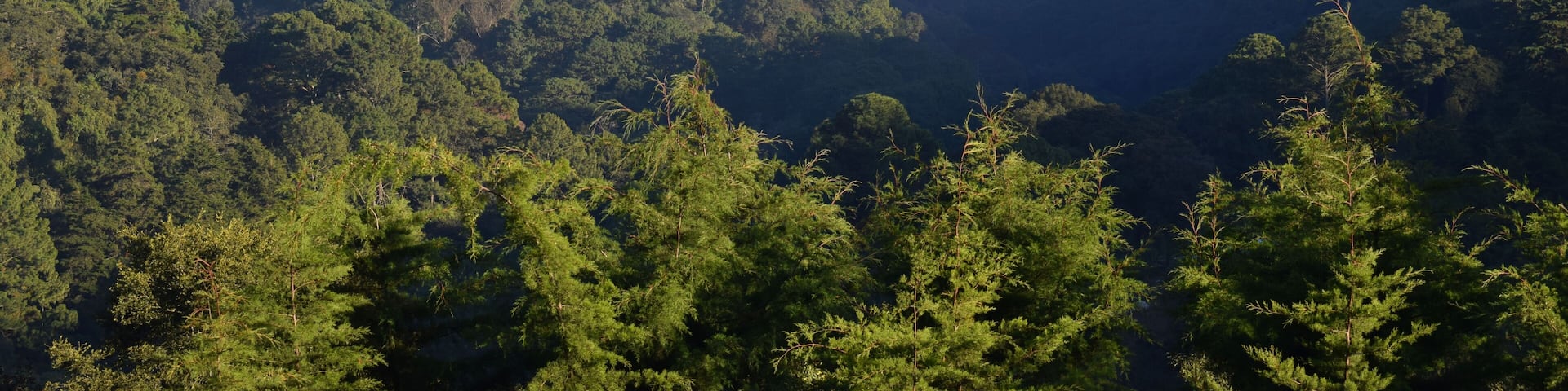 Paisaje Guatemalteco en San Lucas Sacatepéquez.