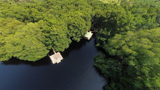Aerial bird's eye view photo taken by drone of a lagoon in Honduras. Jutiapa Honduras. Laguna de Cacao