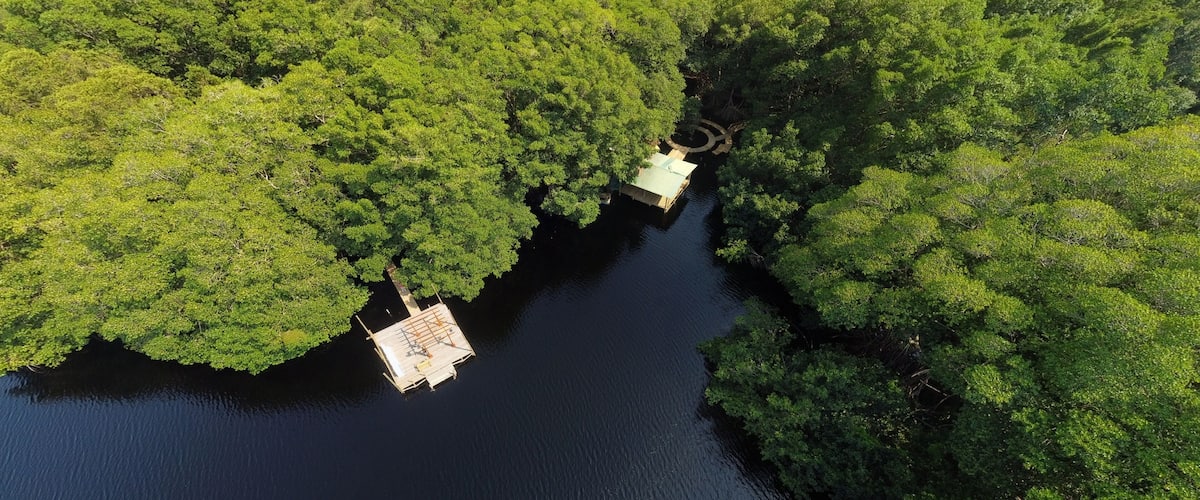 An aerial view of a river surrounded by dense green forest.