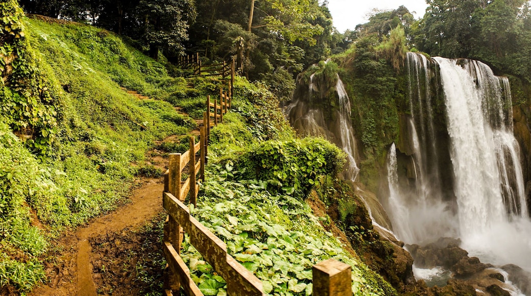 Sector Lago de Yojoa