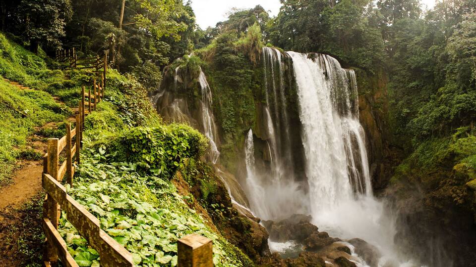 A lush waterfall surrounded by dense greenery and a wooden walkway.