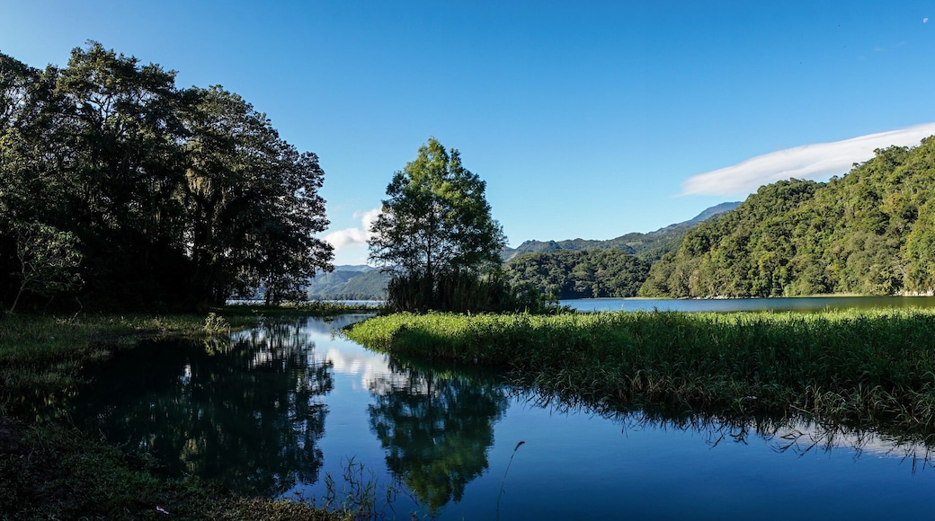 Sector Lago de Yojoa
