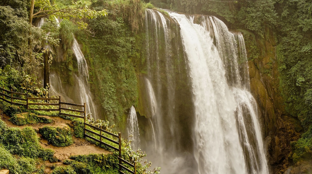 Sector Lago de Yojoa