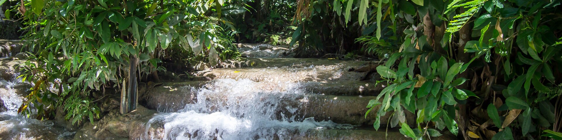 Una cascada que se precipita en medio de una vegetación exuberante.