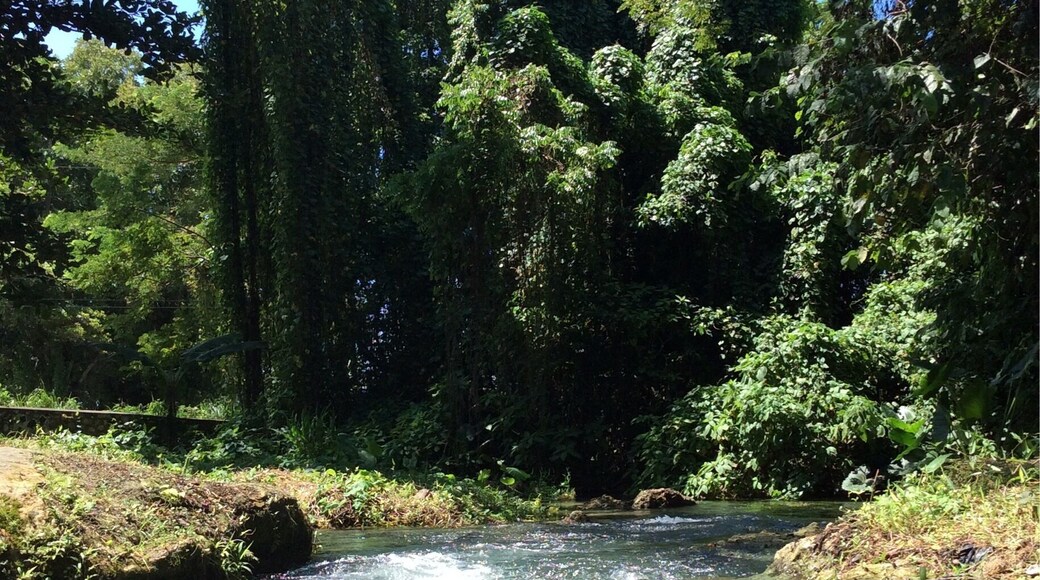 A dip in Sweet River is the perfect pit stop on the drive from Westmoreland to St.Elizabeth