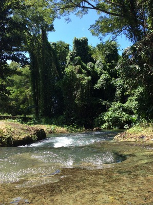 A dip in Sweet River is the perfect pit stop on the drive from Westmoreland to St.Elizabeth