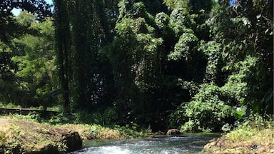 A dip in Sweet River is the perfect pit stop on the drive from Westmoreland to St.Elizabeth