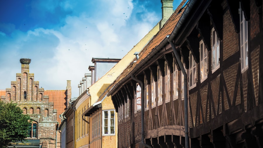 Roof tops of Ribe town
