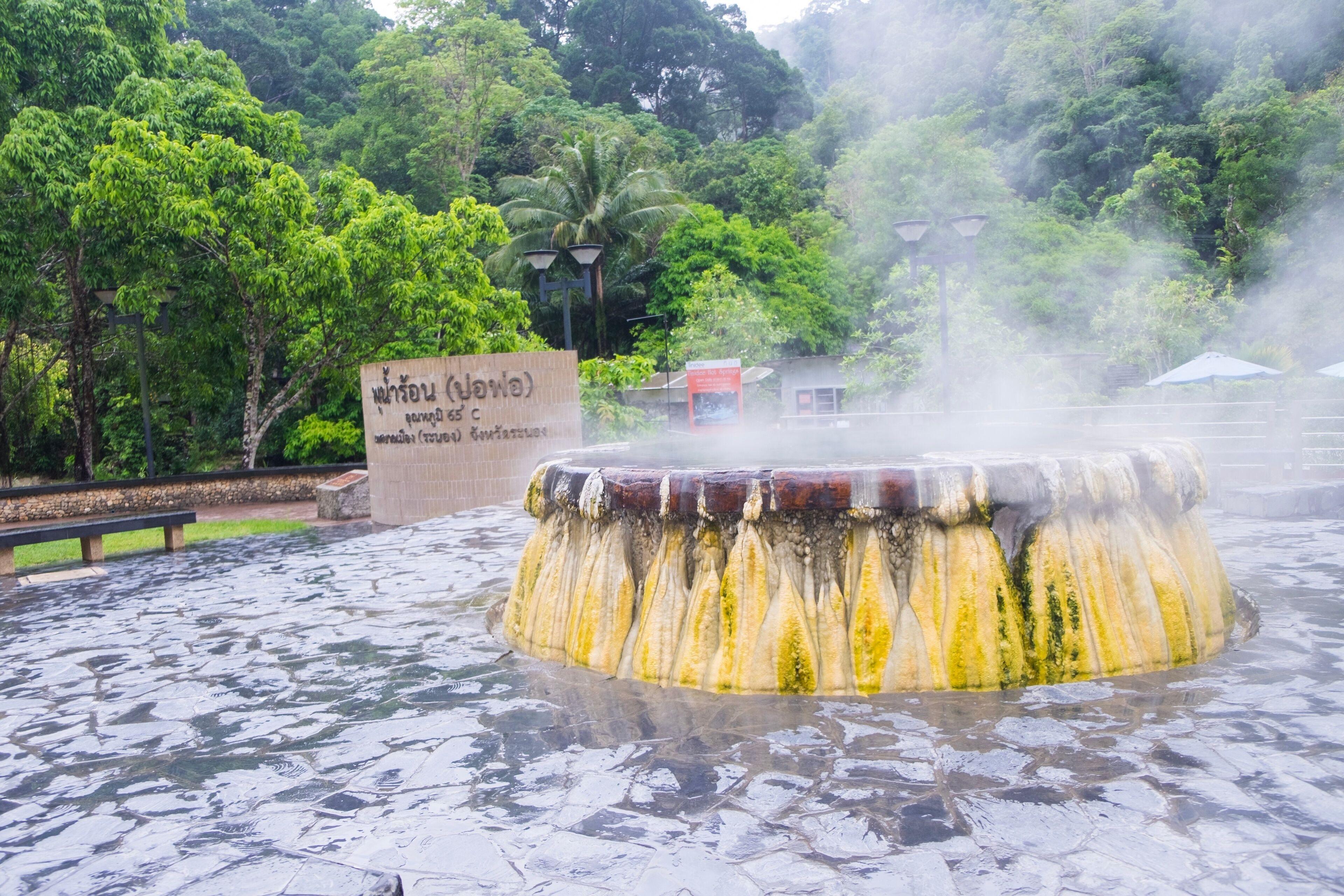 A hot spring with a stone basin surrounded by lush greenery and a sign in a foreign language.