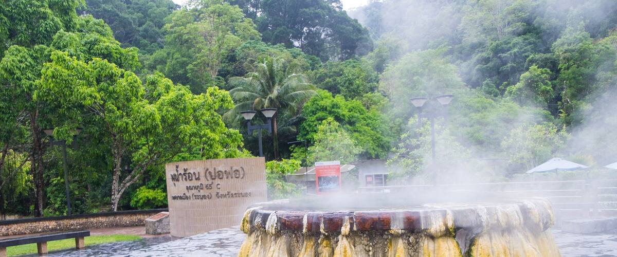 A hot spring with a stone basin surrounded by lush greenery and a sign in a foreign language.