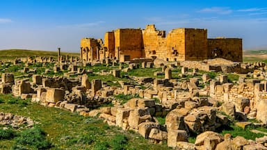 Ancient ruins with stone columns and a large building in the background.
