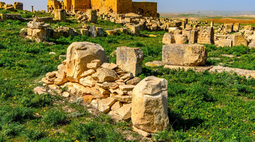 Ruins of a temple of Madauros, a Roman-Berber city in the old province of Numidia, Algeria