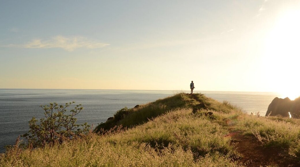 Islas Murciélago humanity patrimony
Guanacaste
Unique rock formation of its type in the world
#beautifull island in Northern Costa Rica