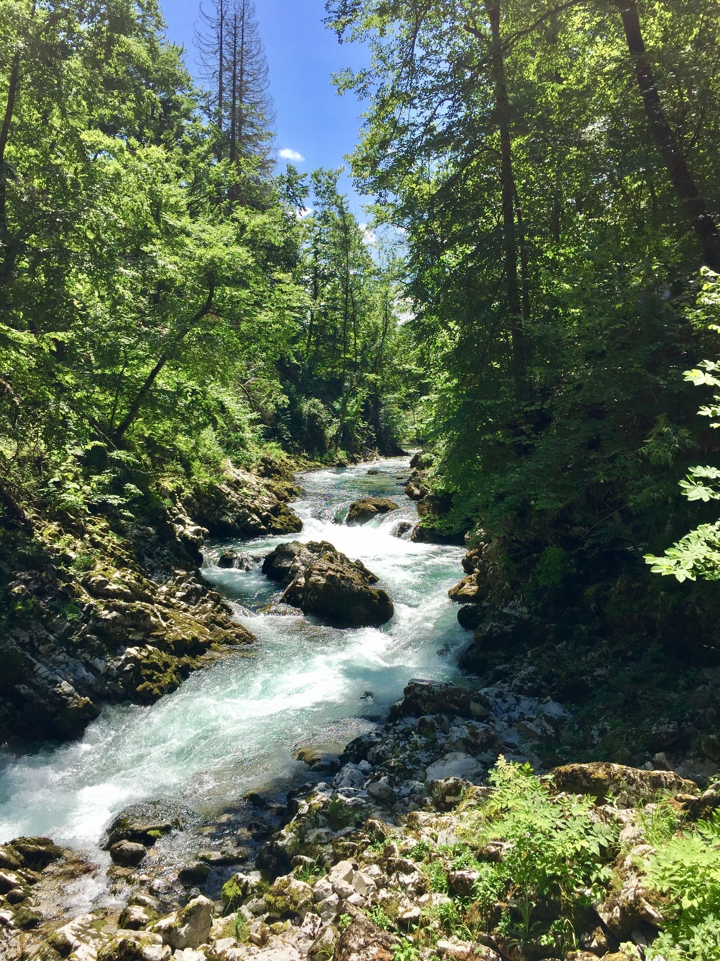 Located in Northwestern Slovenia, The Radovna River flows through the Radovna Valley. It's erosive features include rapids, whirlpools and over the years has carved a gorge more than 50 meters deep into the landscape. It ends at Sum Falls, the largest waterfall in Slovenia. #LifeAtExpediaGroup