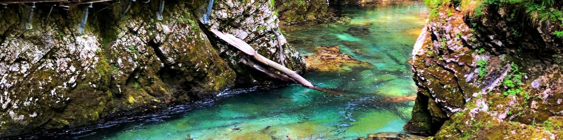This naturally formed gorge is 4km outside of Bled, Slovenia. An easy 1.5km walk on a wooden walkway through the gorge. Vertical rocks, turquoise pools, rapids and waterfalls makes it a must see when visiting the area. #trovember