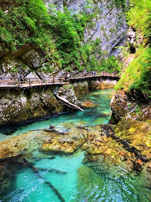 This naturally formed gorge is 4km outside of Bled, Slovenia. An easy 1.5km walk on a wooden walkway through the gorge. Vertical rocks, turquoise pools, rapids and waterfalls makes it a must see when visiting the area. #trovember