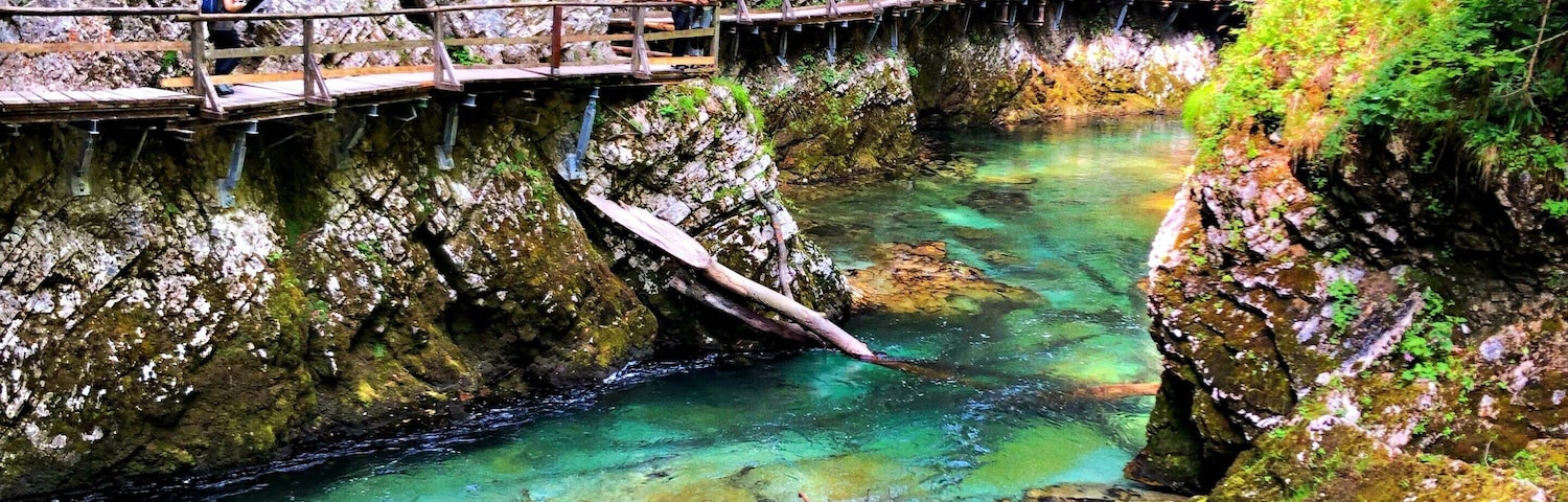 This naturally formed gorge is 4km outside of Bled, Slovenia. An easy 1.5km walk on a wooden walkway through the gorge. Vertical rocks, turquoise pools, rapids and waterfalls makes it a must see when visiting the area. #trovember
