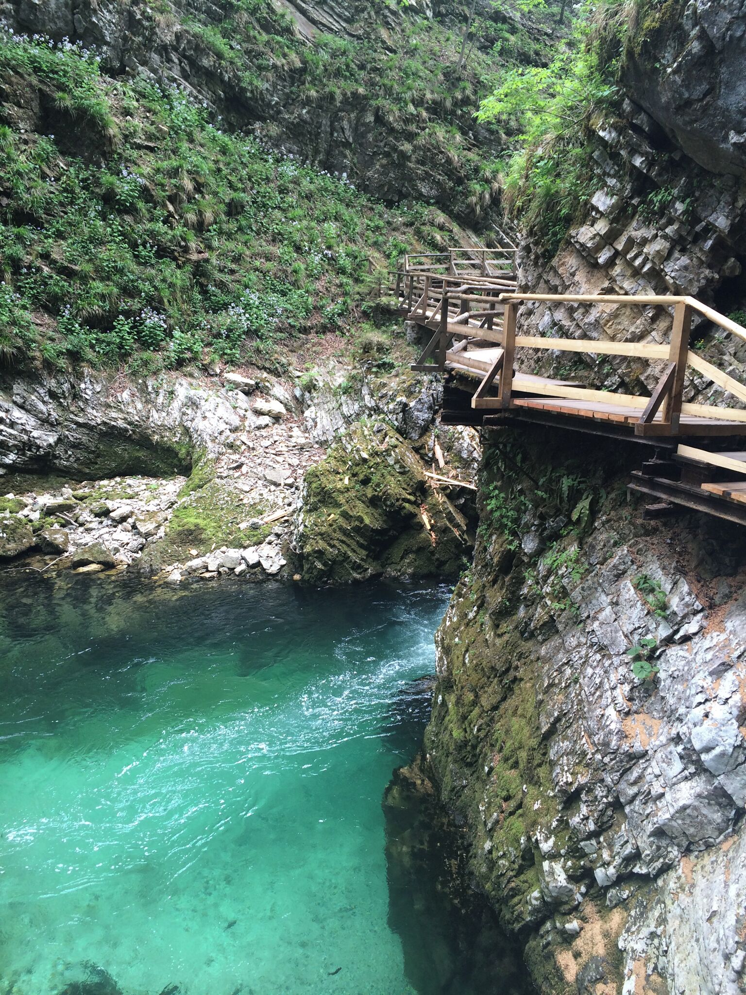Vintgar gorge is not too far away from Bled, and is definitely worth the visit.  You can walk through the 1.6km gorge, and admire the clear blue/green water.