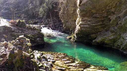 Vintgar Gorge or Bled Gorge and Radovna River (Soteska Vintgar ali Blejski vintgar in reka Radovna) - Zgornje Gorje, Slovenia