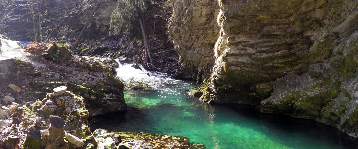 A clear, turquoise stream flowing through a rocky gorge with moss-covered rocks and trees in the background.