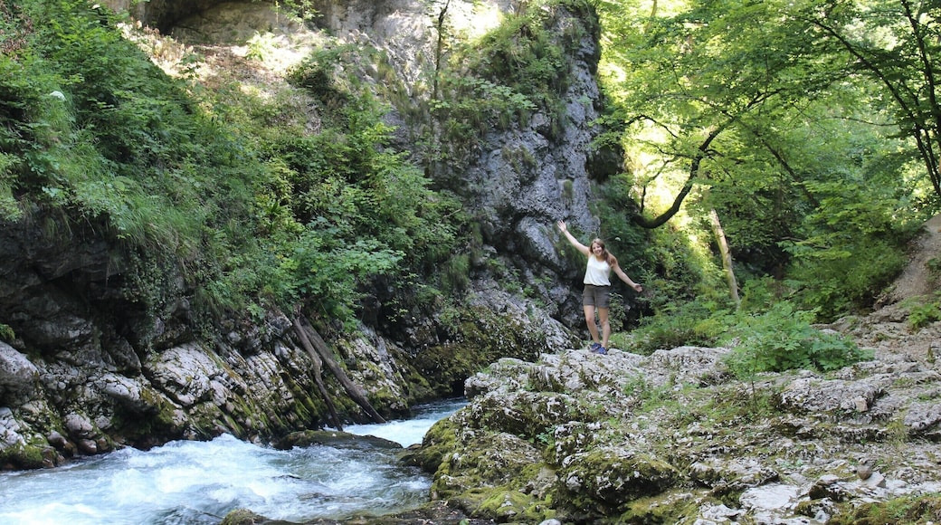 You're able to see endless beautiful waterfalls here. Walking over wooden paths makes it even more fun. The walk takes about 45 minutes until you're at the end. Make sure that at the end of the trail you get downstairs to the photo view stop, that is really worth it!