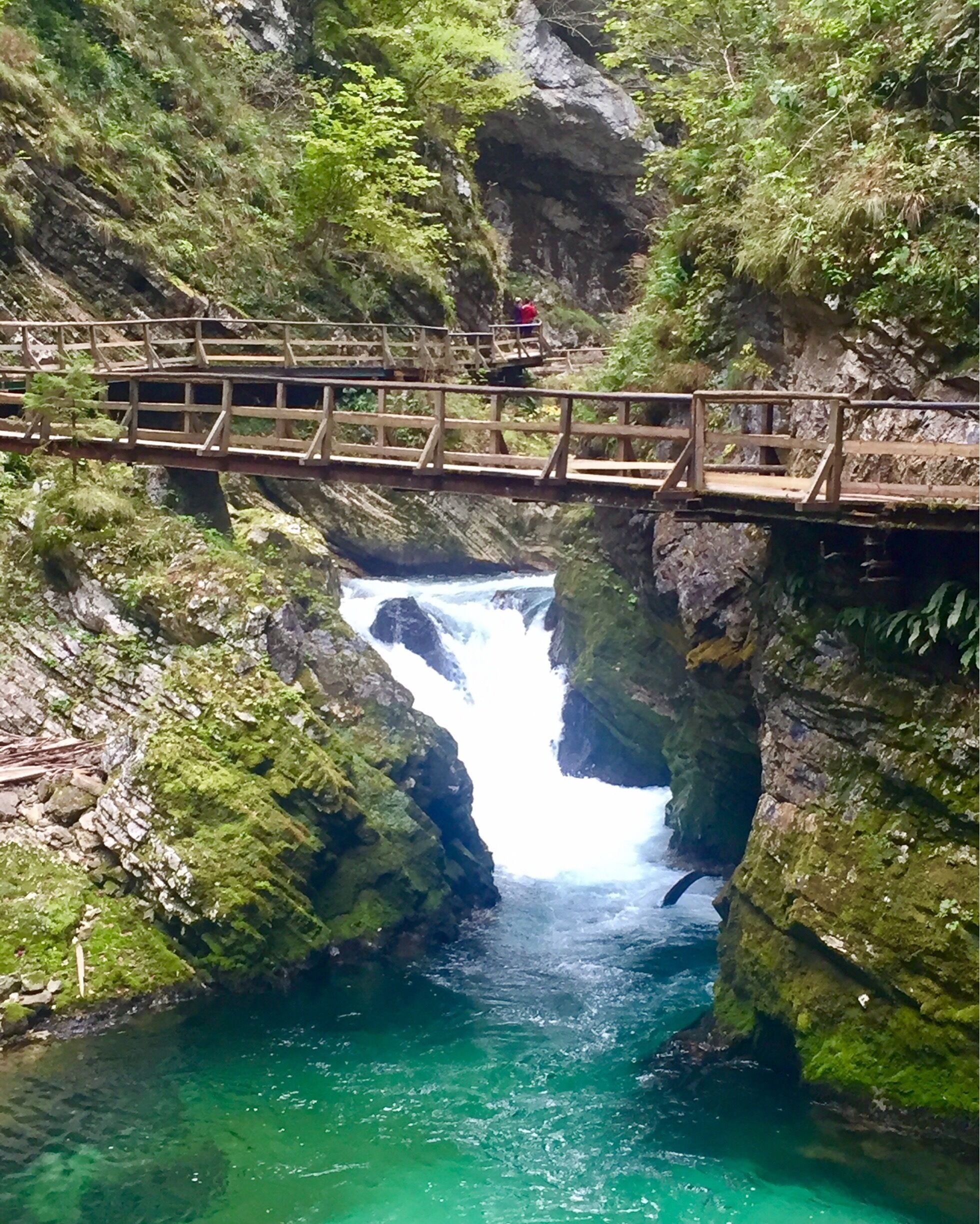Beautiful walk along the gorge in Slovenia #takeahike