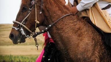 A person in traditional attire riding a horse in a field.