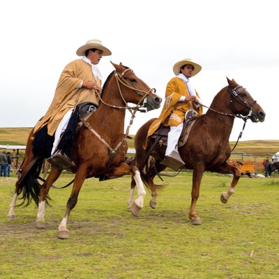 During a Picnic lunch at the Lake we were treated with a famous Peruvian Paso Horse Demonstration.
These Qoriilazos (Cuzqueñan cowboys) gave an authentic Peruvian Horse Show in a fabulous exhibit of elegant precision and skilled horsemanship.