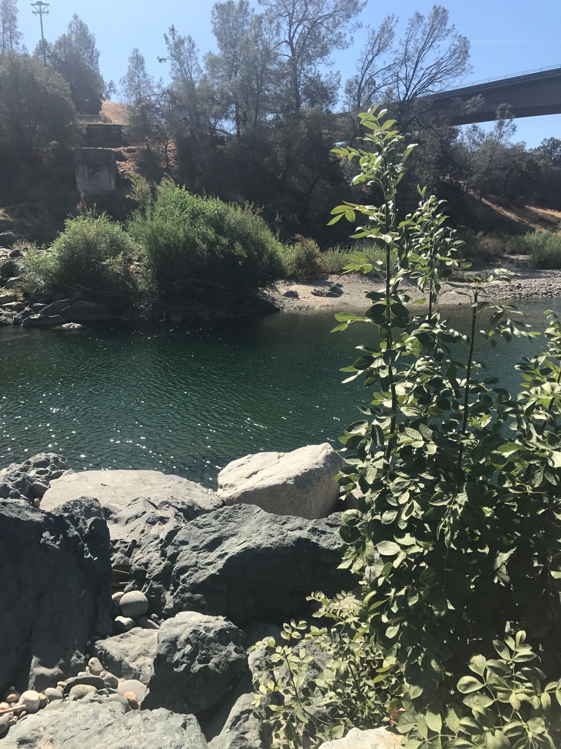 Another awesome shot.