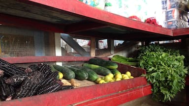 Curimana is a small village located in the Amazon Basin with dirt roads and small huts. This is a photo of the local market, where people come to purchase local produce, meat, and other staples. #Market