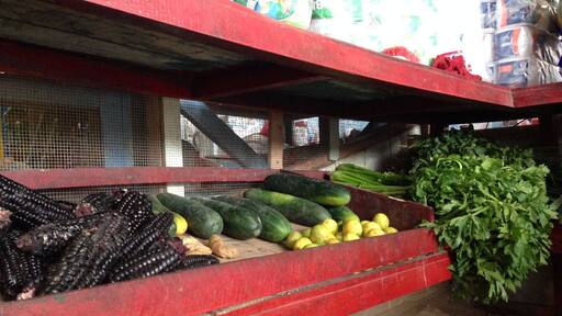 Curimana is a small village located in the Amazon Basin with dirt roads and small huts. This is a photo of the local market, where people come to purchase local produce, meat, and other staples. #Market